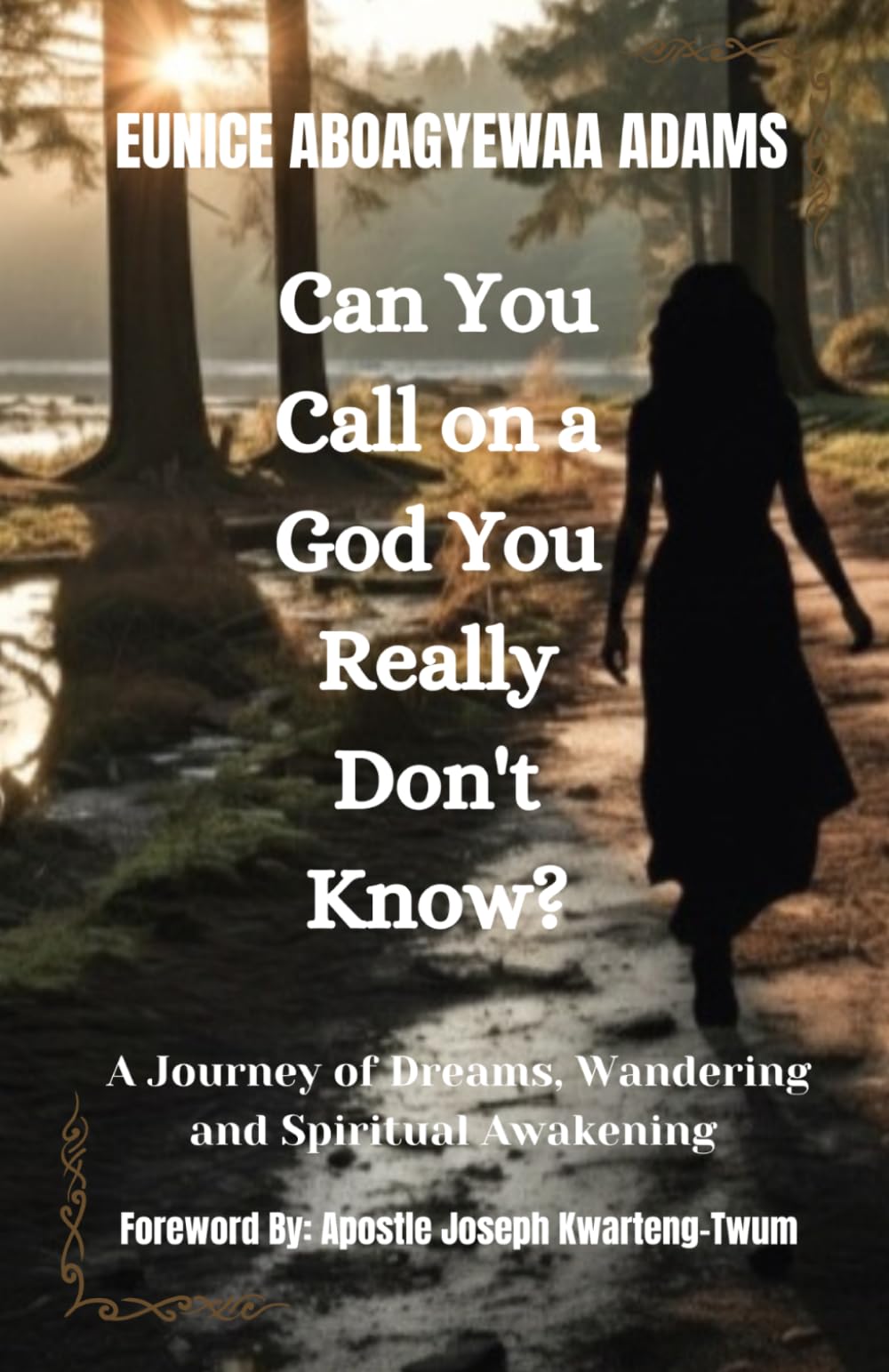 CAN YOU CALL ON A GOD YOU REALLY DON'T KNOW?: A Journey of Dreams, Wandering and Spiritual Awakening.