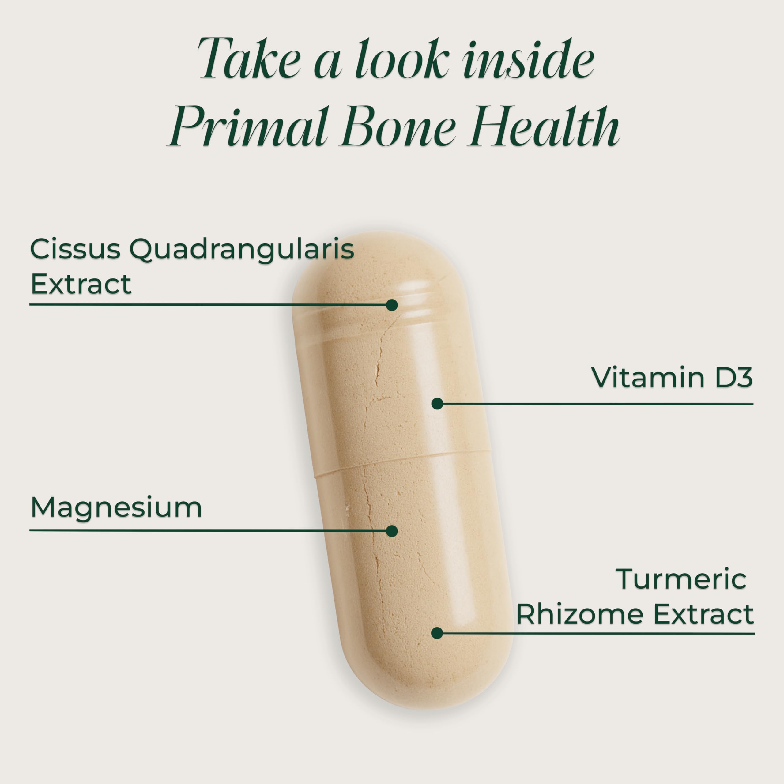Primal Harvest Primal Bone Health Calcium Carbonate Bone Health Complex for Men & Women with Calcium, Magnesium, Zinc, Manganese, Potassium, & L-Carnitine (1 Pack) — Amazon image 5