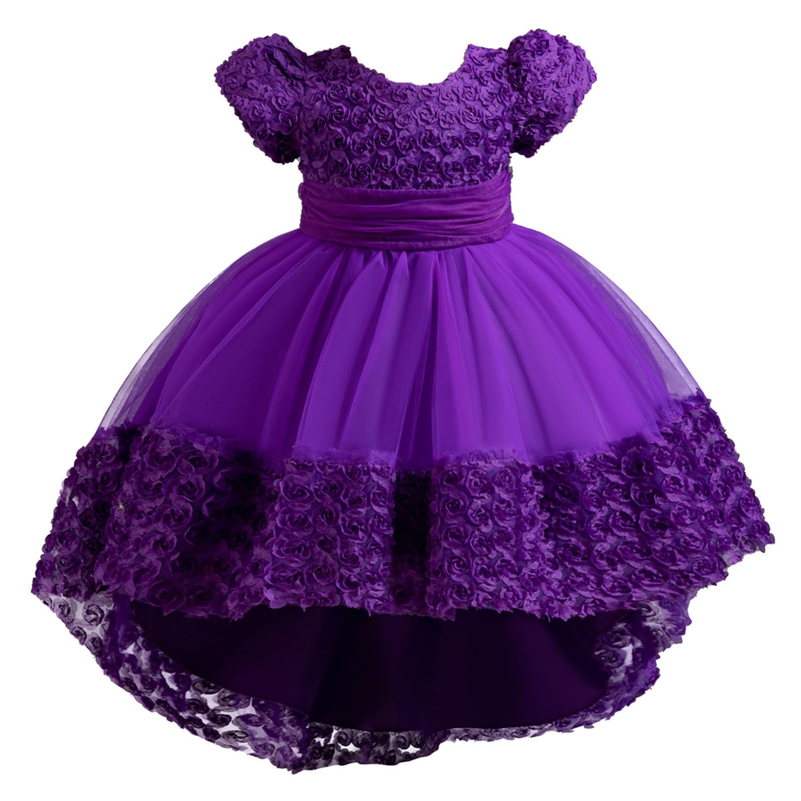 HLTYGWX Kleider für Mädchen, Rock, Mädchenkleider, Kleider für Blumenmädchen, Spitze, Hochzeit, Party, formelles langes Kleid
