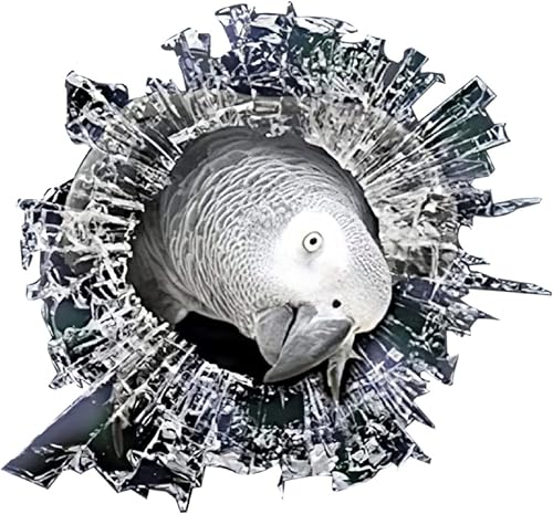 Miniatura 3 de Adhesivo de vinilo gris africano para ventana, adhesivo de automóvil, loro para automóviles, ventanas, paredes, nevera, inodoro y más, 15 pulgadas