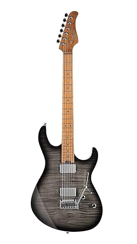 Cort G290 FAT II Electric Guitar, Transparent Black Burst