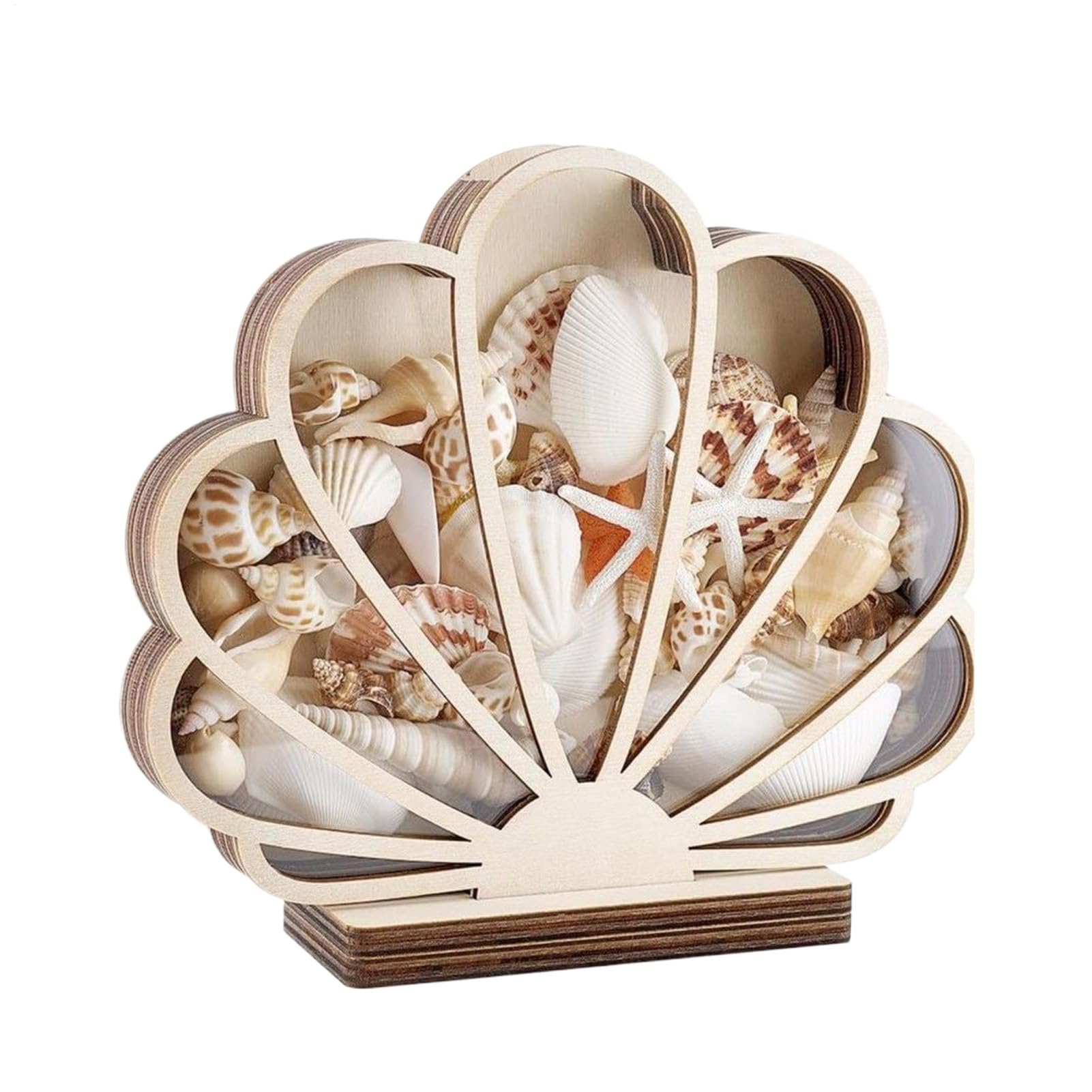 Coquillages boîte de rangement pour protéger vos souvenirs