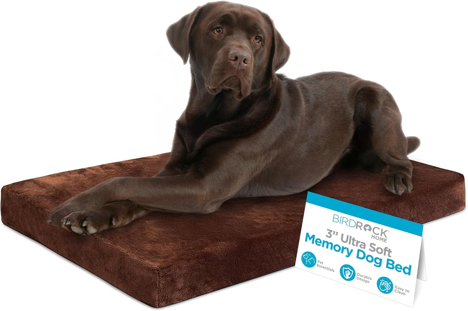 BIRDROCK HOME Memory 3″ Memory Dog Bed | Ultra Soft Plush Pet Bed | Pet Mat (40 x 26, Brown)