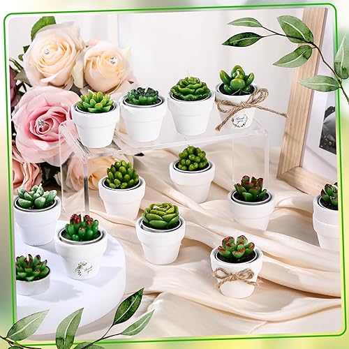 Miniatura 3 de MTLEE Cactus Candle Planter, 18 Pcs Paraffin Wax Succulent Tealight Candles with Mini White Terracotta Clay Pots, for Party Favor, Fiesta, Birthday,