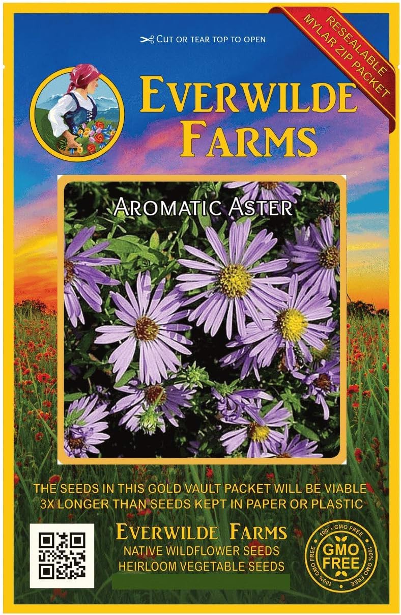 Everwilde Farms 500 Aromatic Aster Native Wildflower