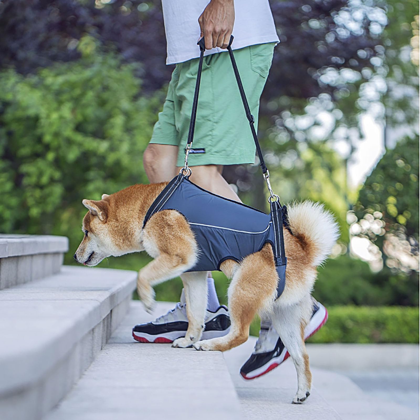 Arnés de Elevación para Perros Grandes - Soporte de Cuerpo Completo Con Eslinga, Chaleco Elevador para Mascotas Viejos