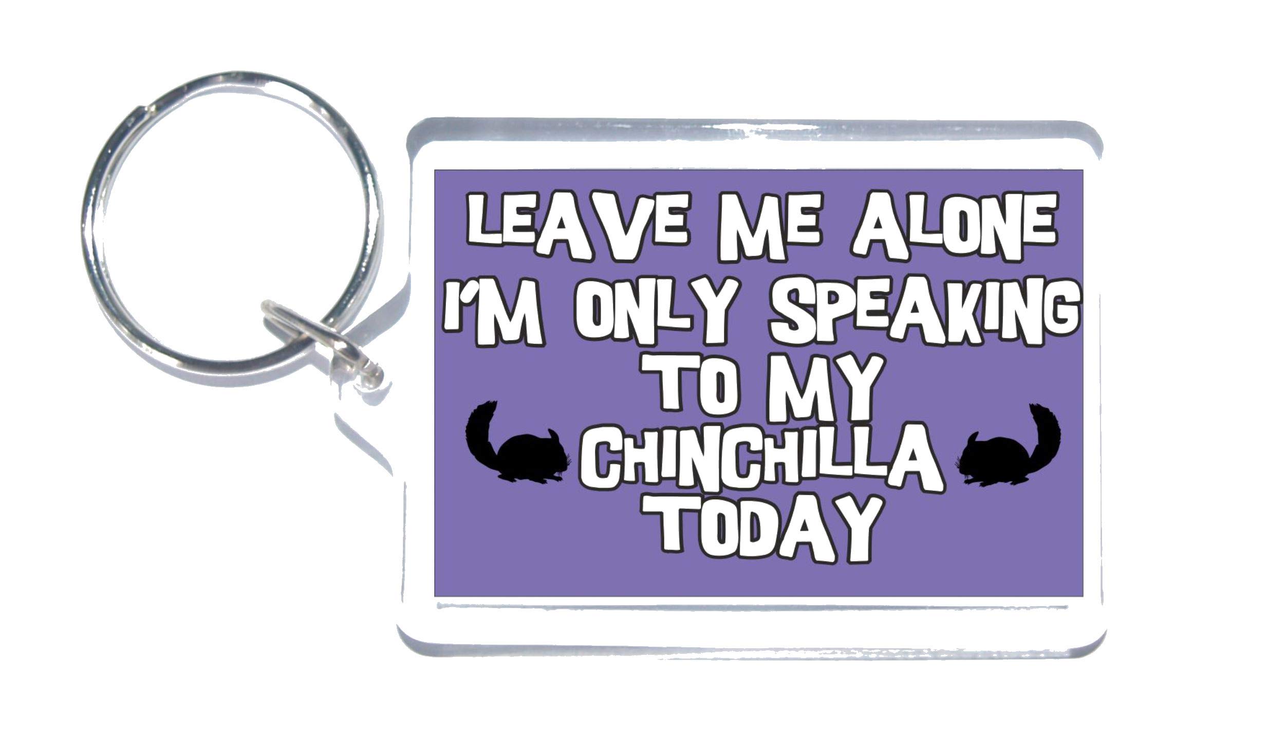 Fun Chinchilla Gift - Leave Me Alone I'm Only Talking To My Chinchilla Today - Novelty Keyring - Ideal Present