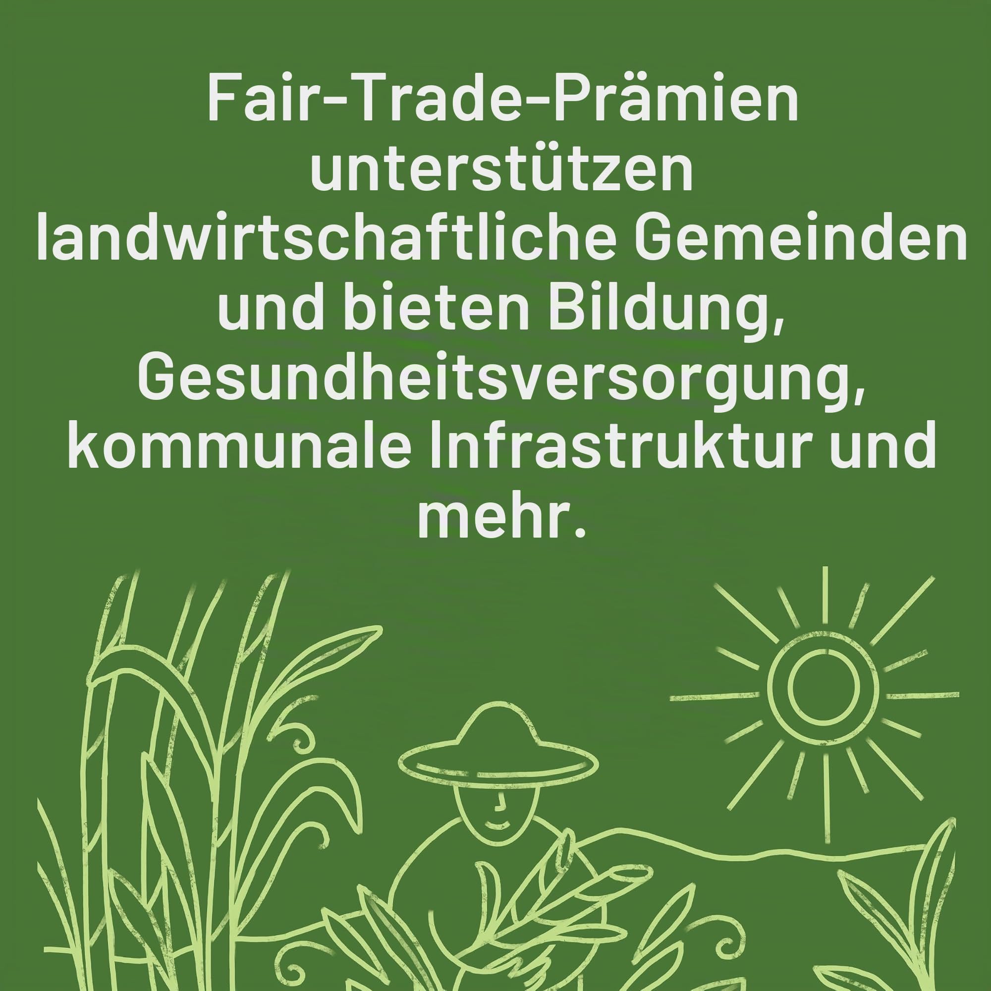 Wholesome! - Organische Melasse ungeschwefelt - 16 Unze.