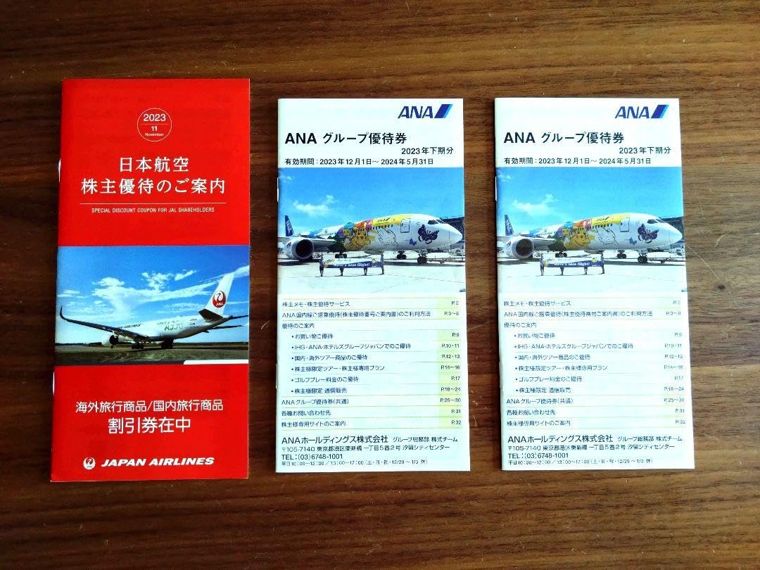 JAL 日本航空 株主優待券 2枚セット（2024年11月30日期限）