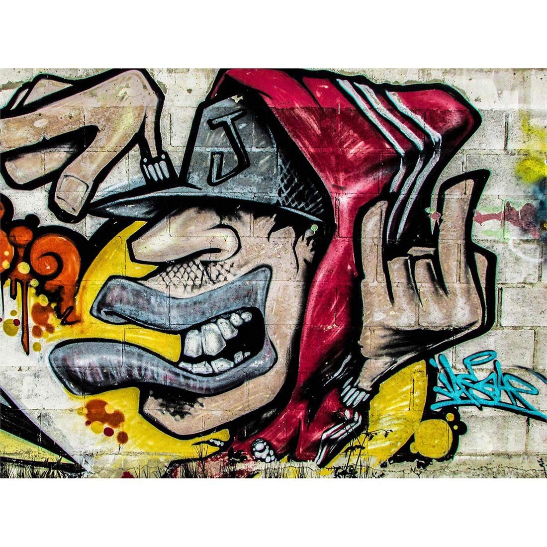 Graffiti Guy Dude Street Art Print Poster Wall Decor 12X16 Inch