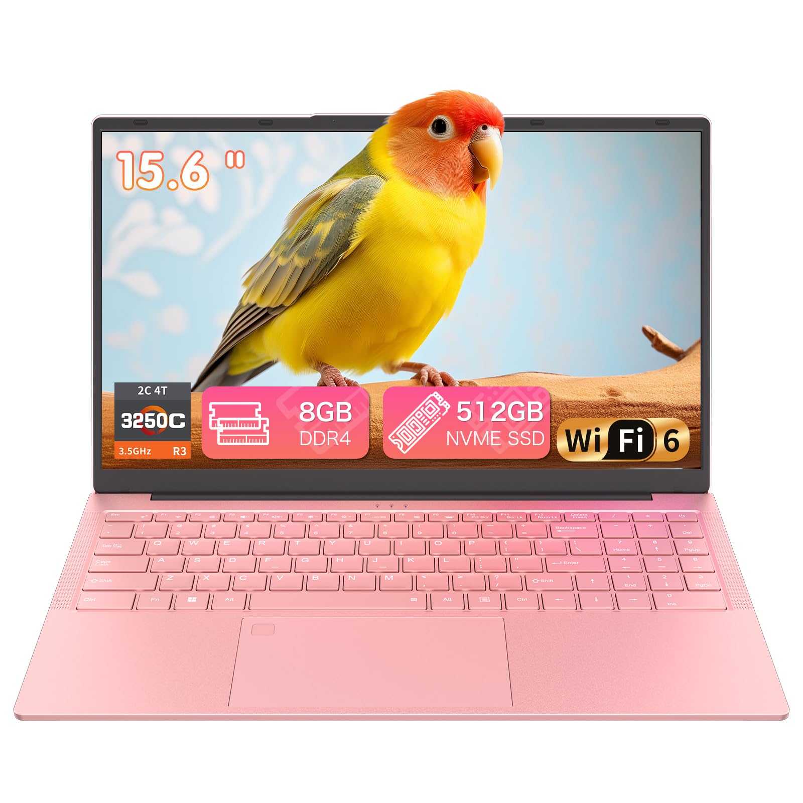 Auusda 15.6 Laptop