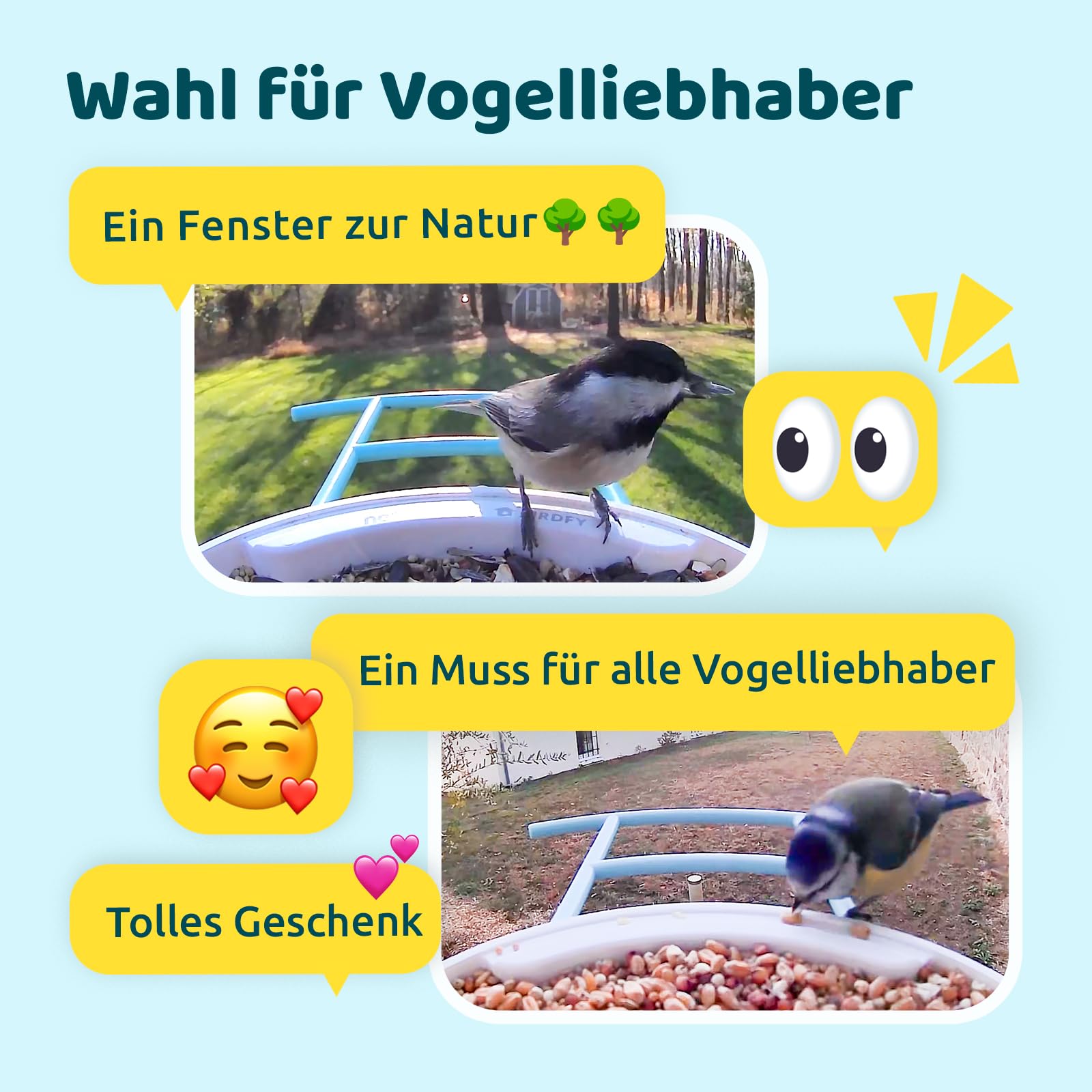 NETVUE by Birdfy Comedero Pajaros Inteligente con Cámara, Comedero Pajaros Exterior, Casita Pajaros con Cámara, Captura Automática de Videos de Aves, Reconocimiento AI de Especies de Aves