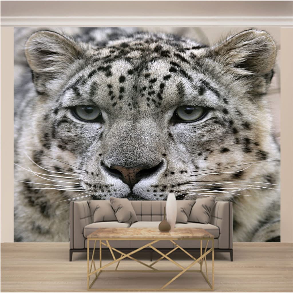 Papier peint intissé tigre 3D cache les défauts des murs du salon 350x256 cm