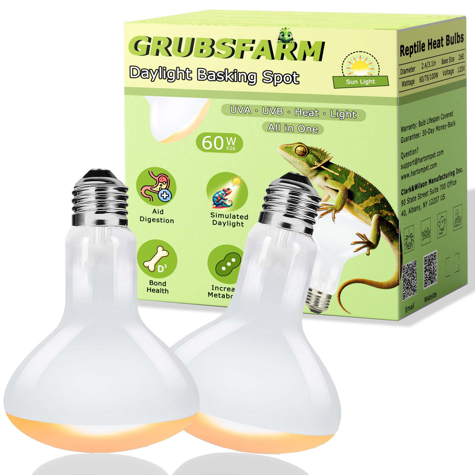 60W UVA Reptile Heat Lamp Bulbs, Basking Spot Light for Bearded Dragon, Lizard, Tortoise, Chicks & Amphibians – Simulated Sunlight, Daylight Bulb for Terrarium | 2 Pack, 2.5 Inch