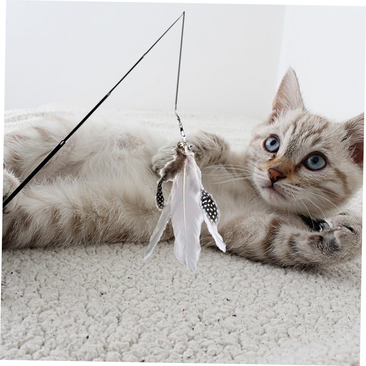 Kisangel 6pièces Canne Télescopique pour Chat avec Plumes Jouets Interactifs pour Instinct De Chasse des Félins pour Jeu Et Exercice