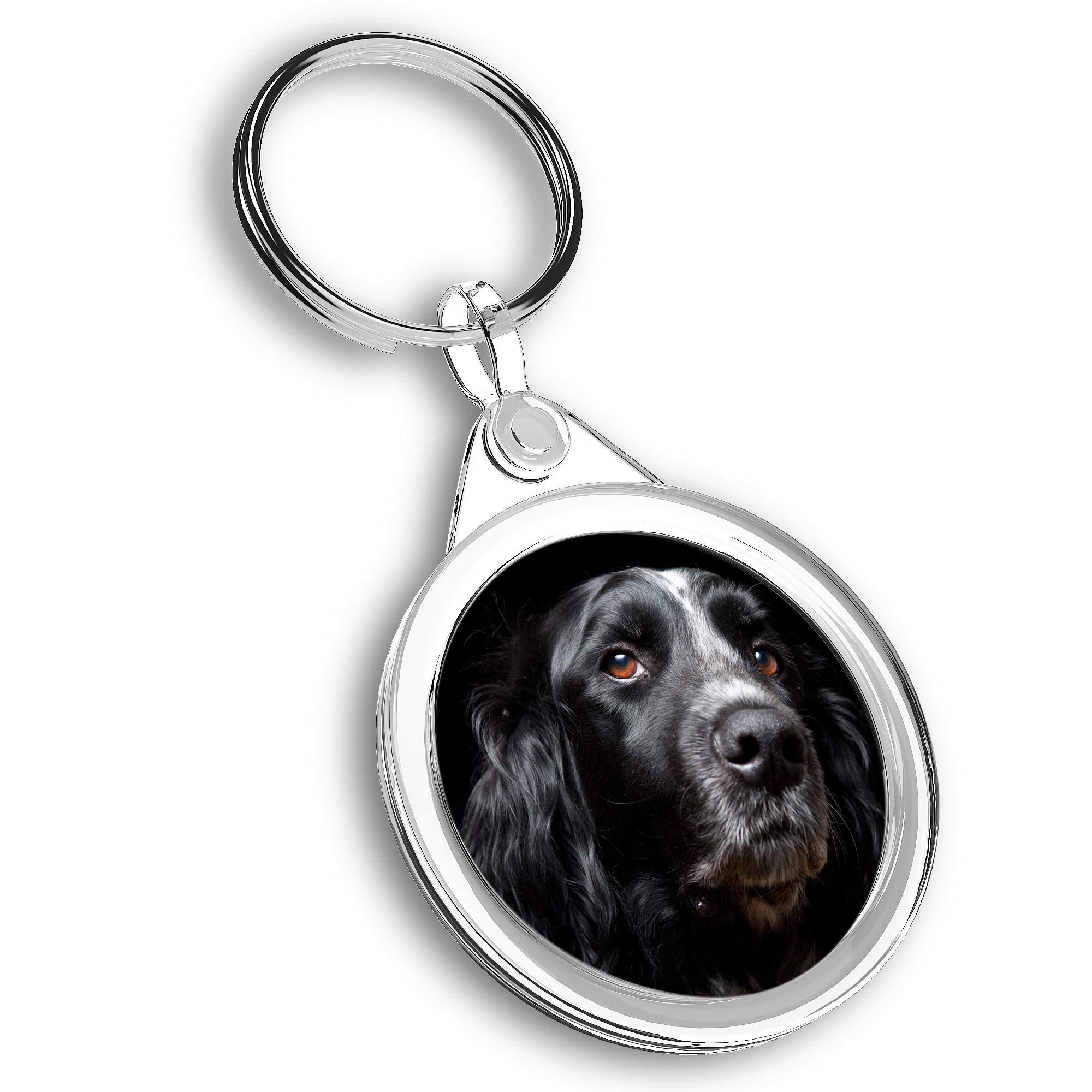 Destination Vinyl Ltd Unisex Multi 1 X Photo Keyring - Black Spaniel Dog Cocker Springer |Keychain|Keyring|Charm| #44334