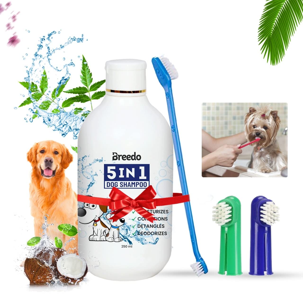 Breedo Dog Need (Combo of 2) 5IN1 Shampoo Plus Conditioner + Teeth Brush Allergy Relief, Conditioning, Anti-fungal,Anti-itching, Anti-Dandruff Natural Dog Shampoo  (250 ml) (B0B3TV2P2T) Amazon Price History, Amazon Price Tracker