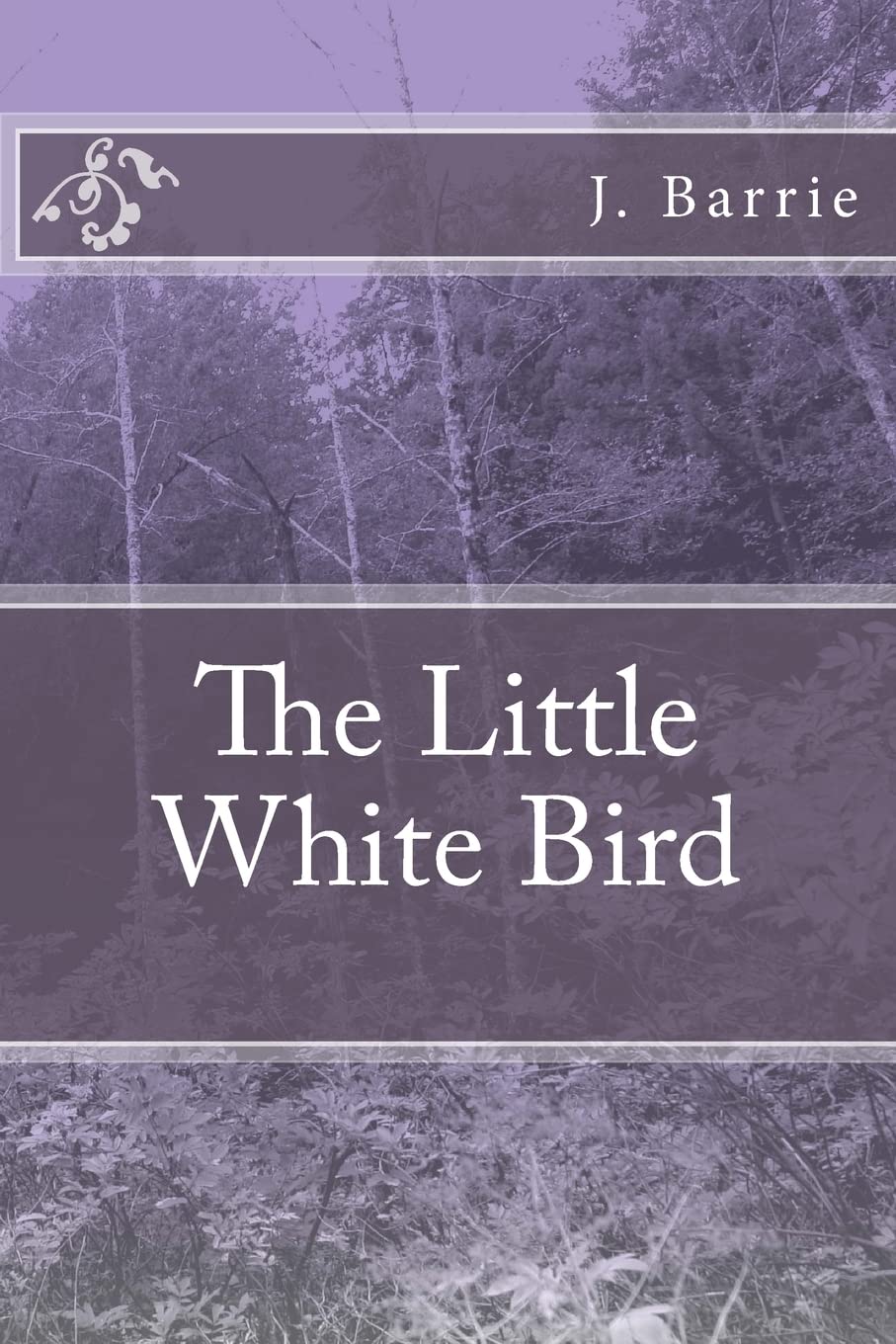 The Little White Bird