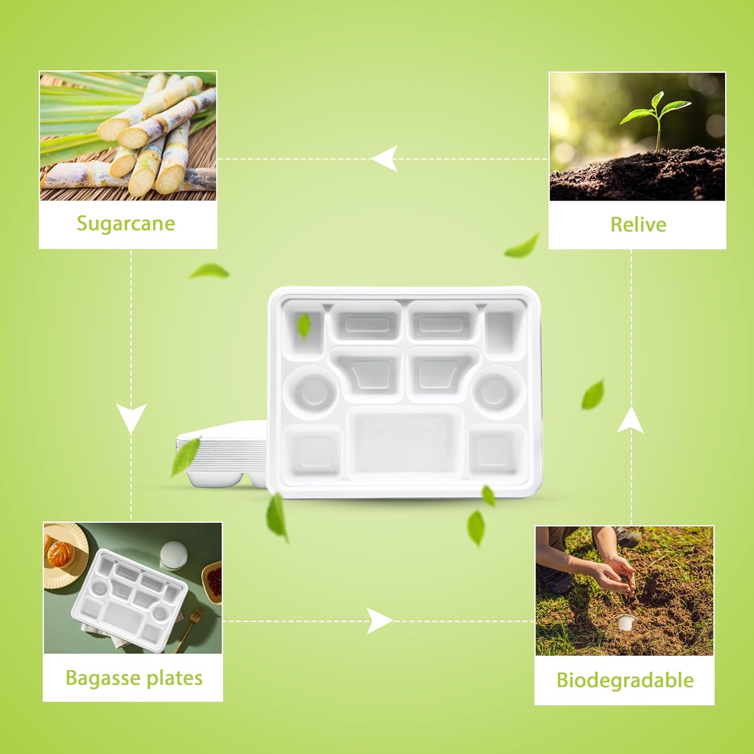 three leaf 11 Compartment Bagasse Rectangular Plate, 25 Ct. PFAS-Free, Heavy Duty, Sugarcane Fiber, Eco Friendly Disposable, 100% Biodegradable, Microwave and Freezer Safe, Ideal for Lunch, Buffet