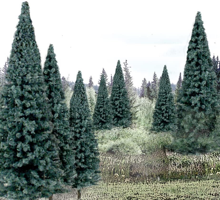 Blue Spruce 4-6" (13) WOOTR1588