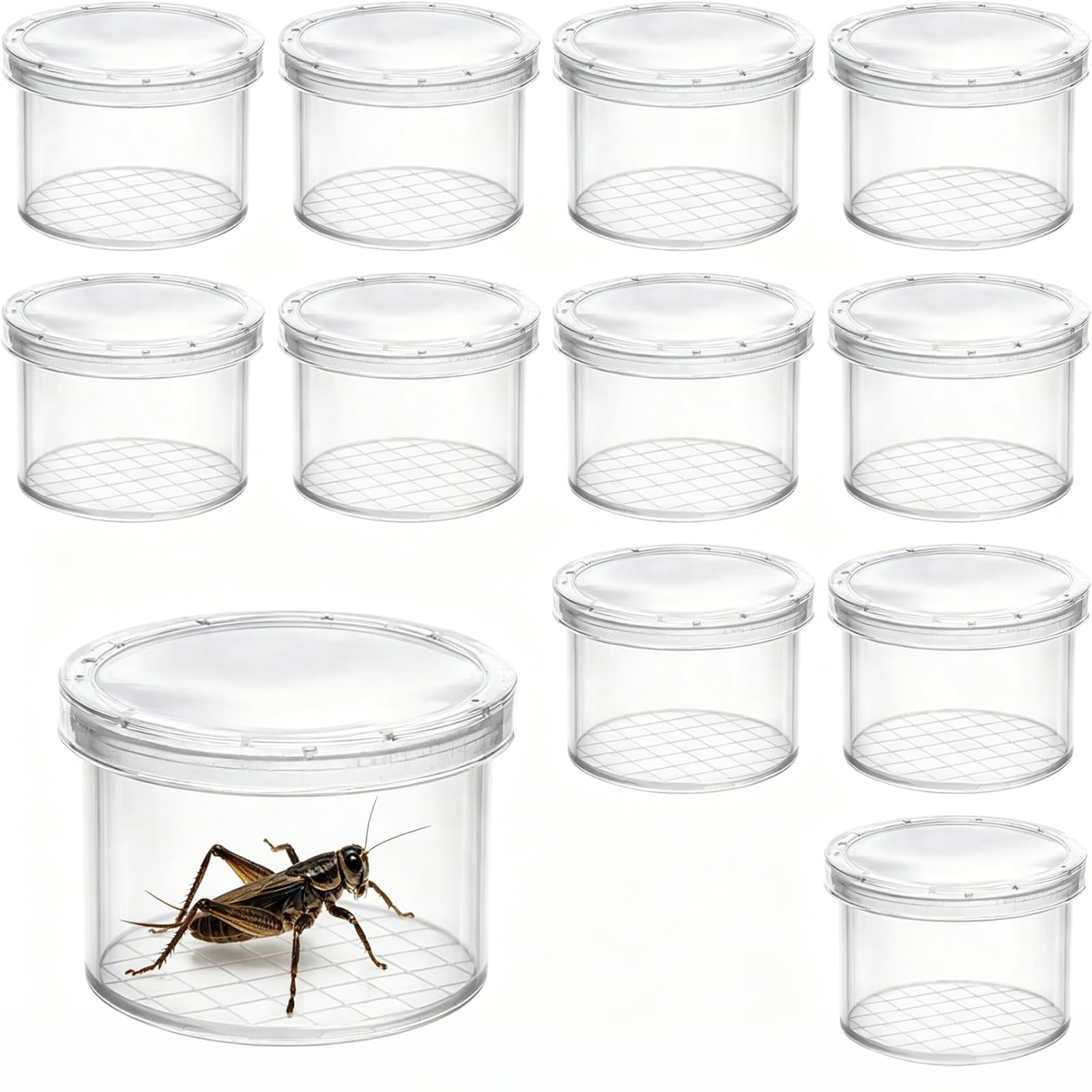 12 Pcs Insect Observation Bug Box Set, Bug Catcher, Magnifying Glass Containers for Nature Study, Ideal for Outdoor Exploration and Science Activities, Compact 40 x 30 mm Design