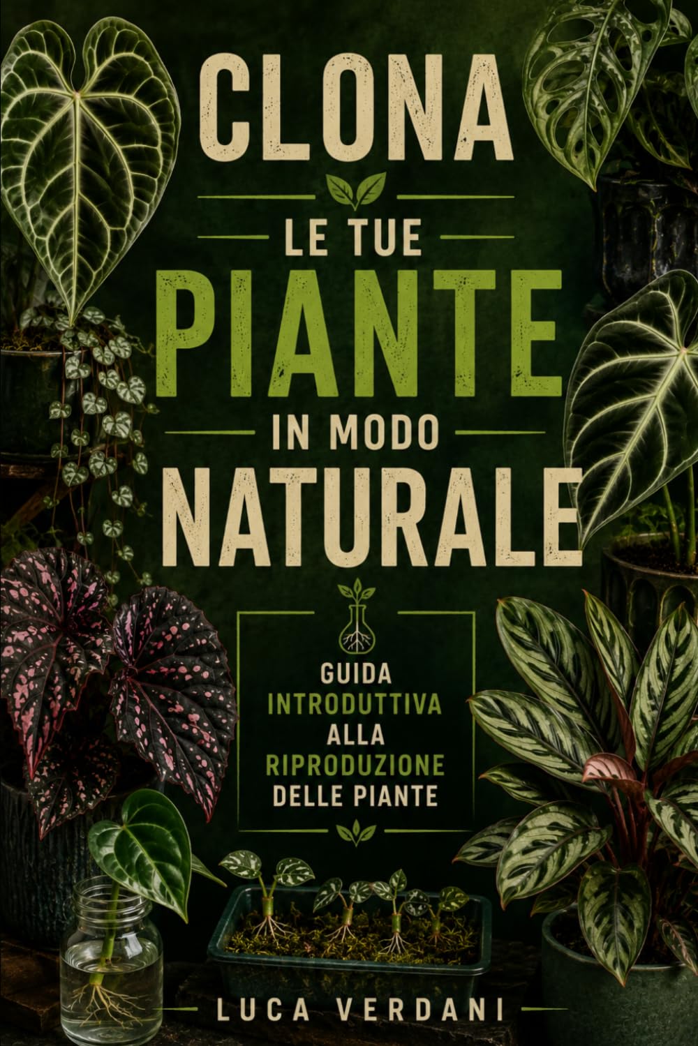 Clona le tue piante in modo naturale: Guida introduttiva alla riproduzione delle piante