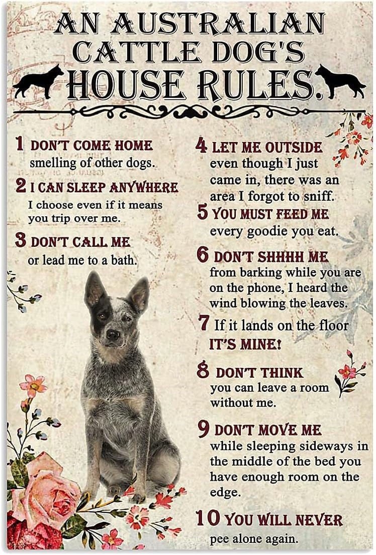 Kwqdozf Tin Sign-2 8X12 Inch An Australian Cattle Dogs House Rules Vintage Metal Aluminum Tin