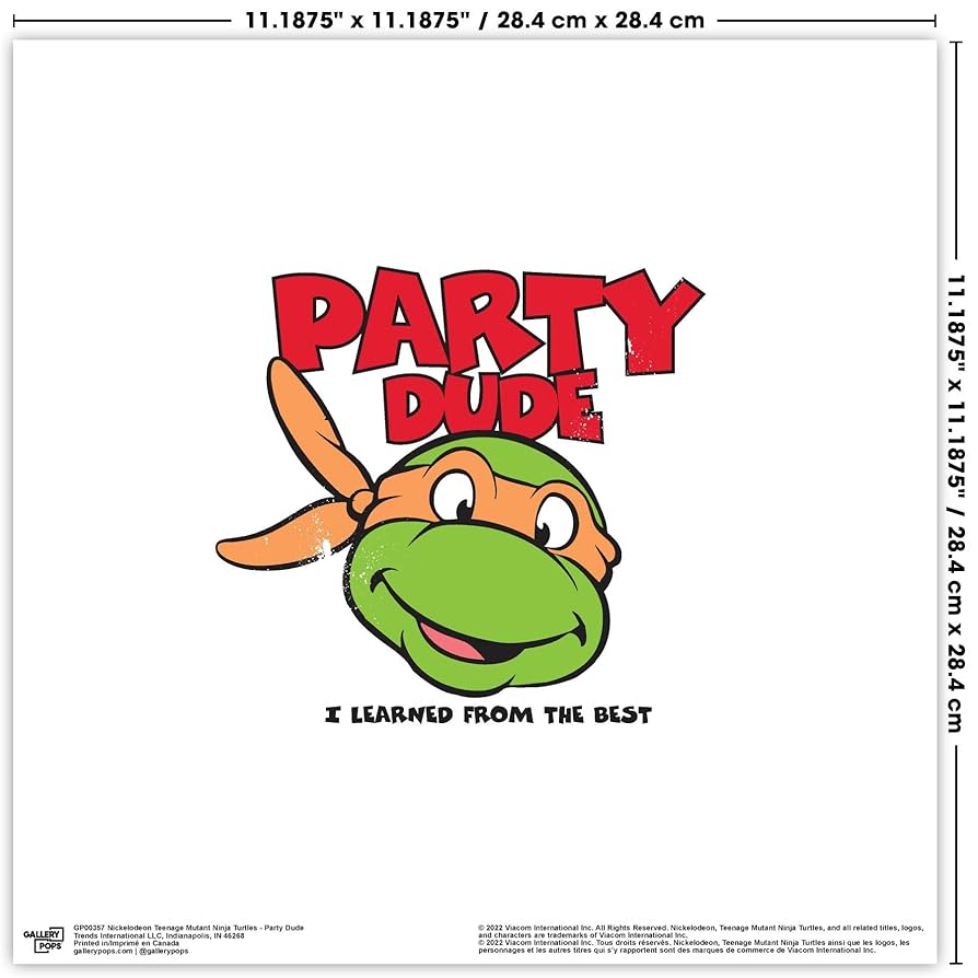 Amazon.com: Trends International Gallery Pops Nickelodeon