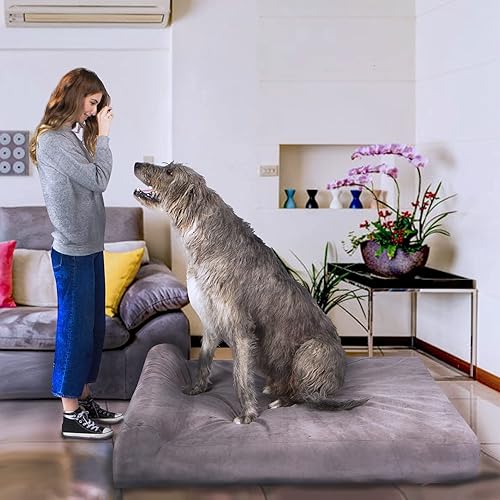 Miniatura 4 de Pet Support Systems Lucky Dog - Cama ortopédica de espuma viscoelástica de 7 pulgadas para perro con relleno, tamaño L, color gris