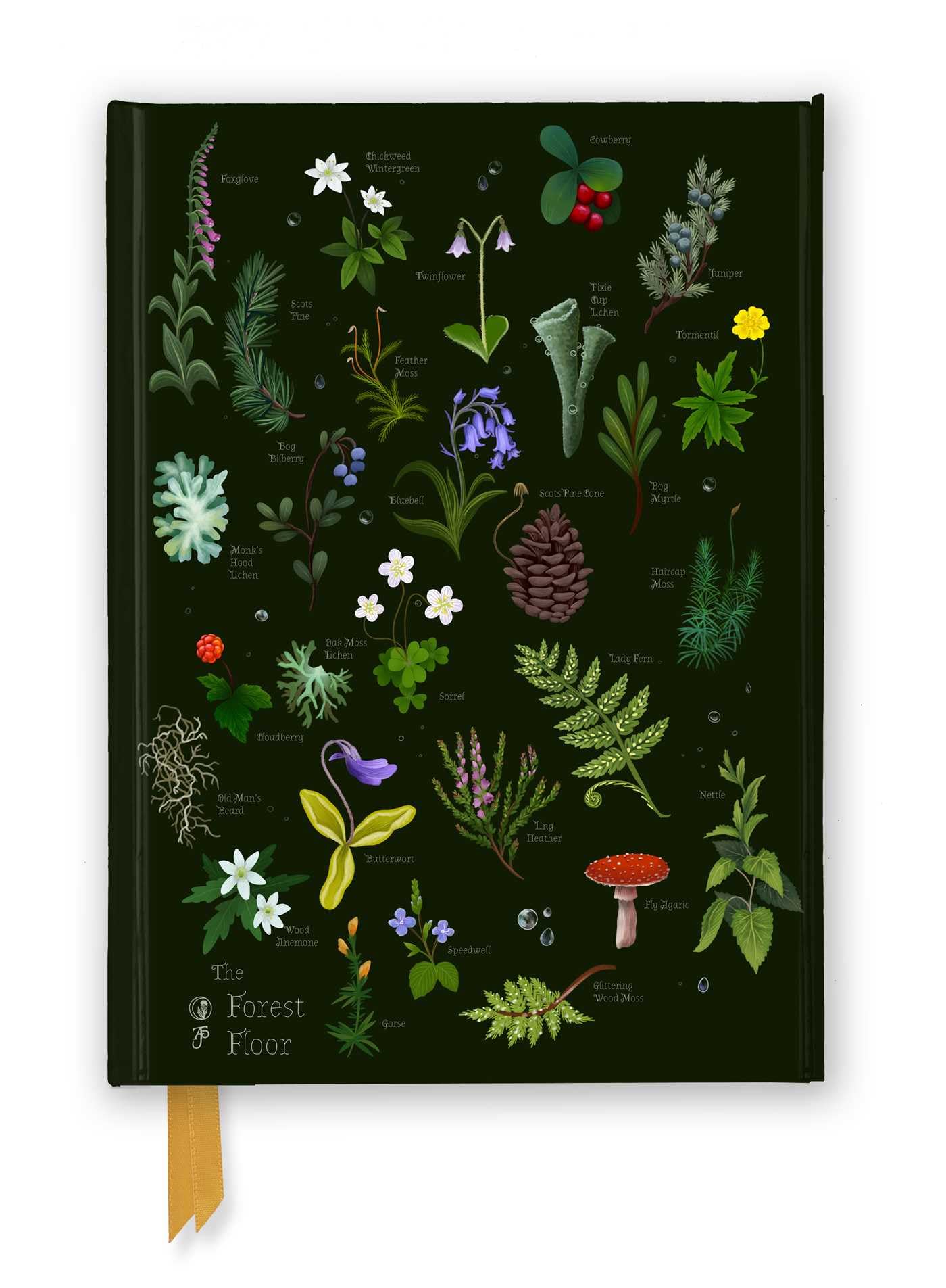 Anna Stead: The Forest Floor (Foiled Journal) (Flame Tree Notebooks)