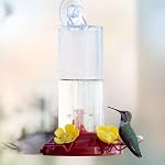 Perky-Pet 8-Ounce Window Mount Hummingbird Feeder 217 | 3 Bee Guard Ports, Suction Cup & Removable Perches, Plastic Shatter-Resistant Bottle for Outdoor Backyard Bird Watching, 217