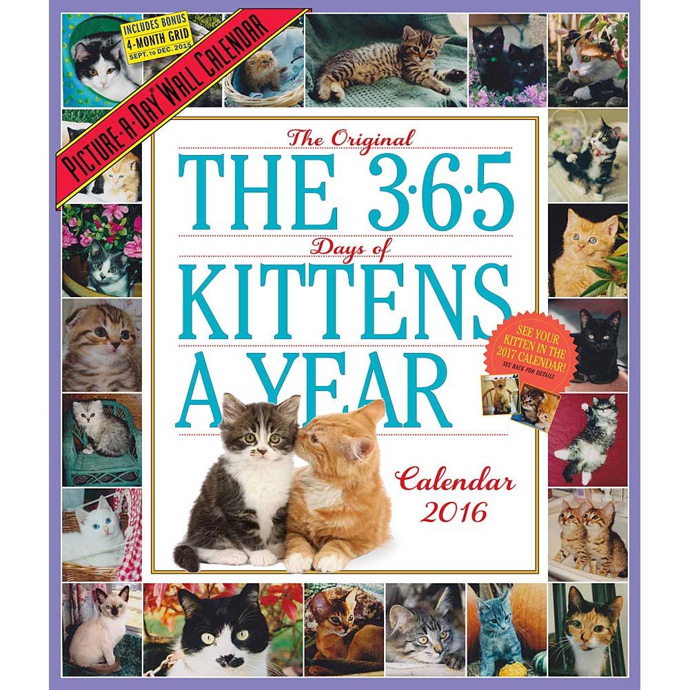 Amazon Cal 98 365 KittensAYear (PictureADay Wall Calendars