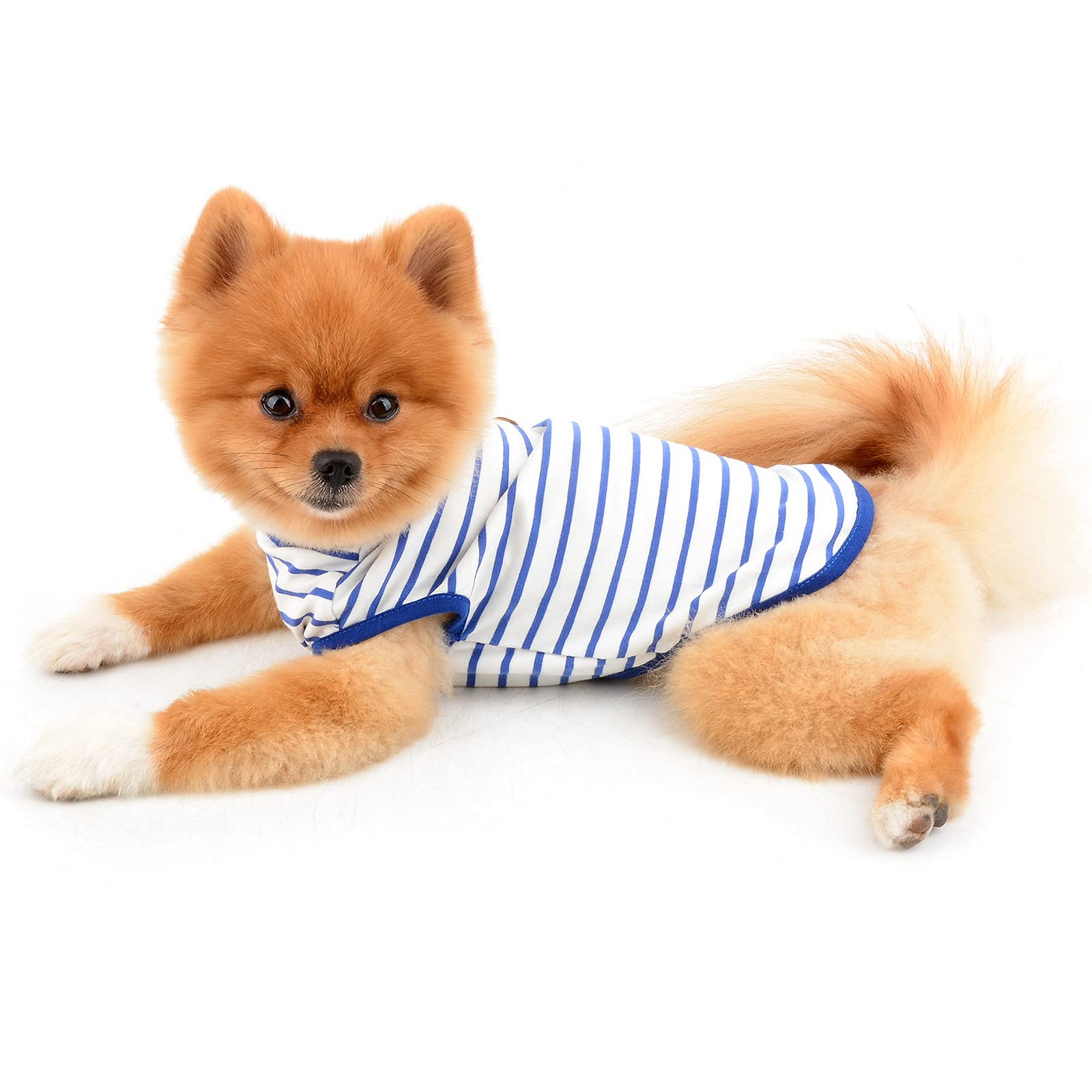 PAIDEFUL Chemise britannique pour petit chien rayée, gilet pour chat, T-shirt en coton doux pour garçon, vêtement pour animal de compagnie, T-shirt d’été pour chiot, Chihuahua, Yorkie, respirants