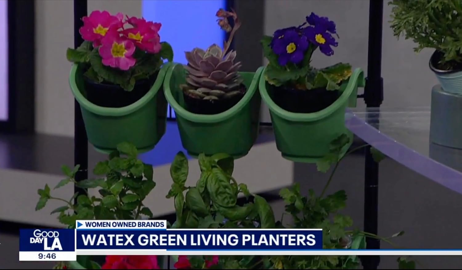 Watex Mobile Green Wall (Single Frame, Spring Bouquet), BPA Free Planters