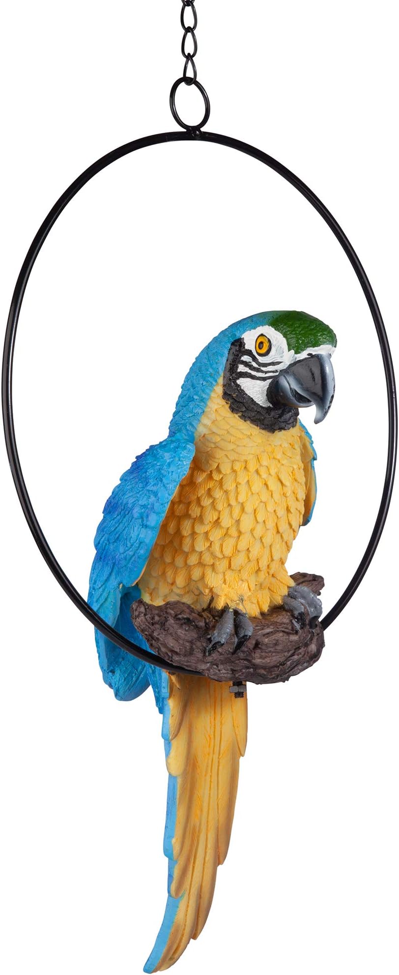 Polly in Paradise Parrot Hanging Bird Ring Perch Statue, Medium, Full Color Finish