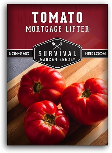 Survival Garden Seeds - Semilla de tomate levantador de hipotecas para plantar - 3 paquetes con instrucciones para plantar y cultivar enormes