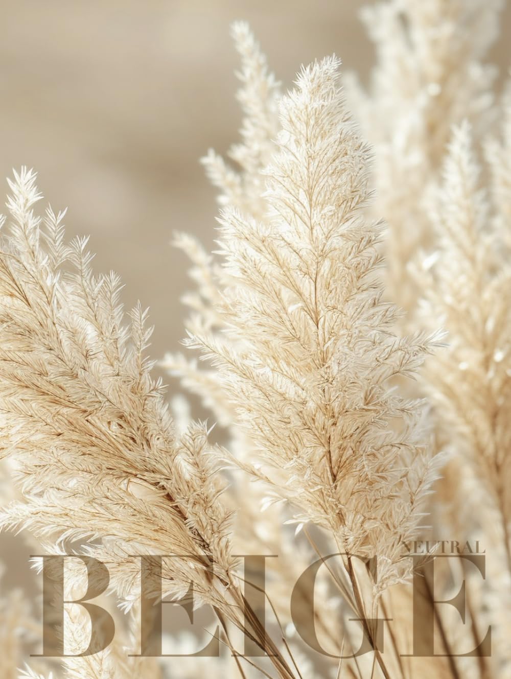 Neutral Beige: Large Decorative Coffee Table Book, Dry Pampas Elegant Boho Decor Accent, A Very Pretty Object To Add Levels, Substance and Visual Weight, Blank Numbered Interior