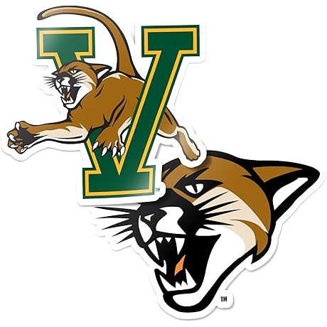 Desert Cactus University of Vermont Decal