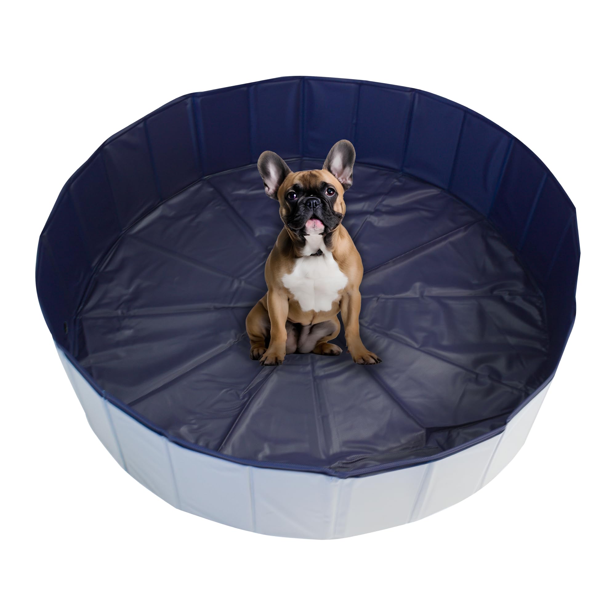 EZwhelp Foldable Whelping Box and Dog Pool, Collapsible Whelping Pool for Dogs, Portable Pool for Whelping and Bathing, 4 ft