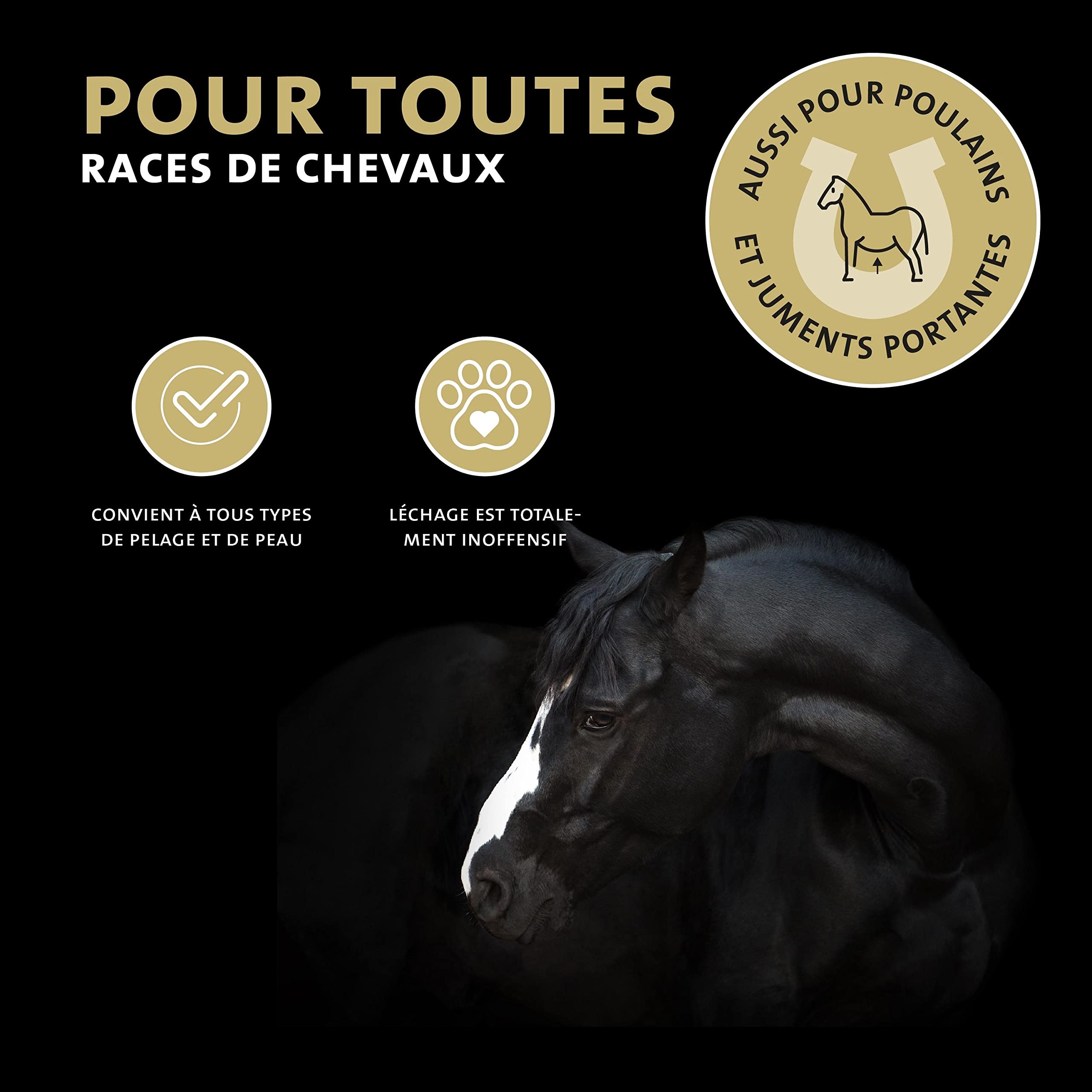 Peticare Cheval Anti-Mouches Noires Roll-on - Défense Contre Mouches Noires, Prévient Dermite Estivale Chevaux, Alternative à la Couverture Cheval en Été - petAnimal Protect 2011