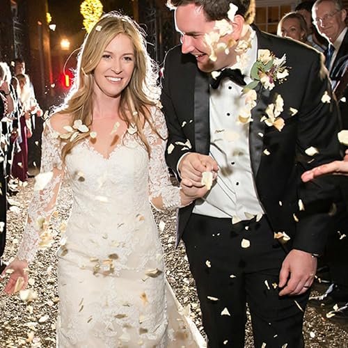 Miniatura 4 de CODE FLORIST 1100 pétalos de rosa de seda blanca para el día de San Valentín, noche romántica, boda, propuesta de decoración de flores de