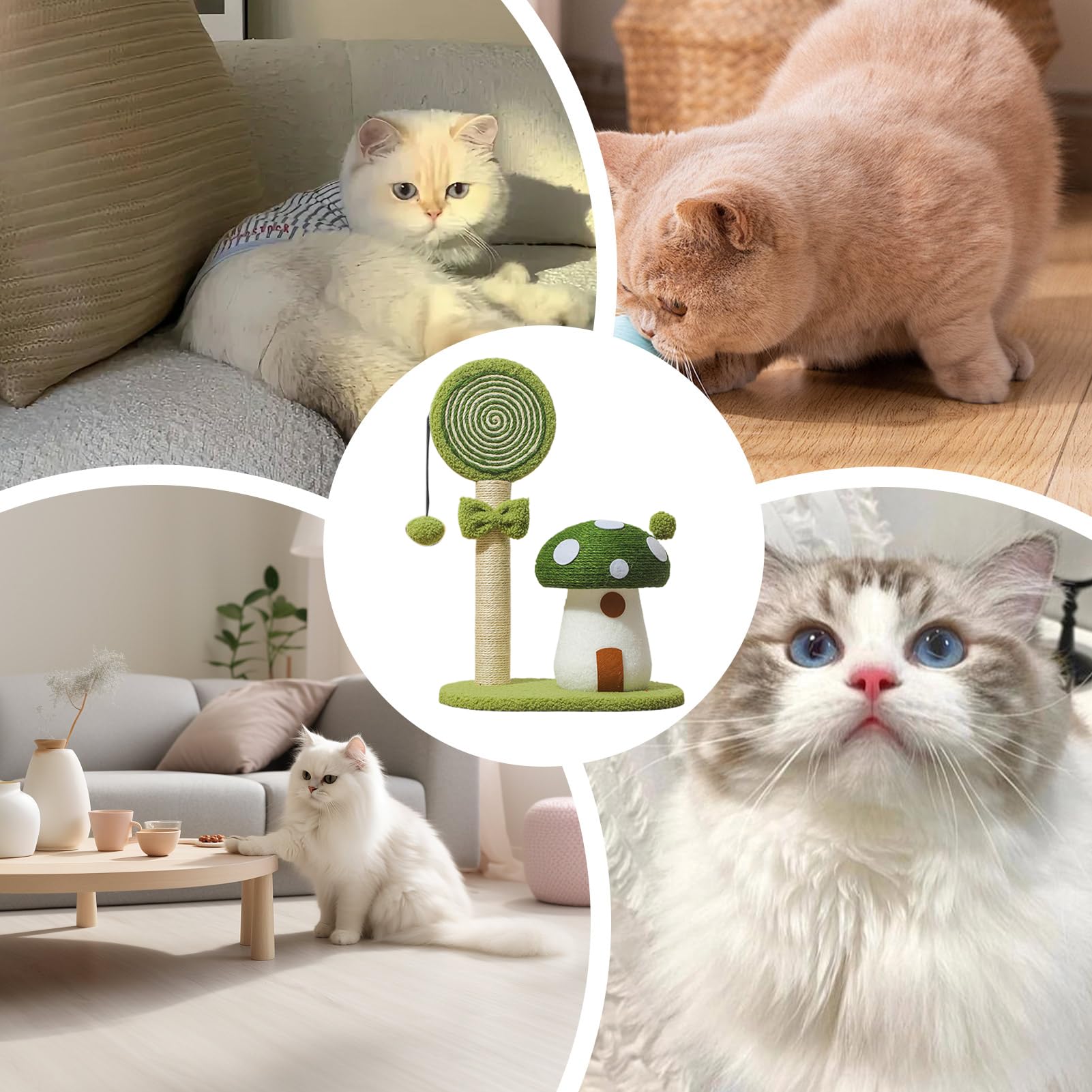Arrampicatoio per gatti Interattivo Accogliente Fungo Multi-Livello Peluche | Centro Attività Torre Grattatoio Gatti per Casa Dormitorio Appartamento Piccoli Spazi e Area Giochi