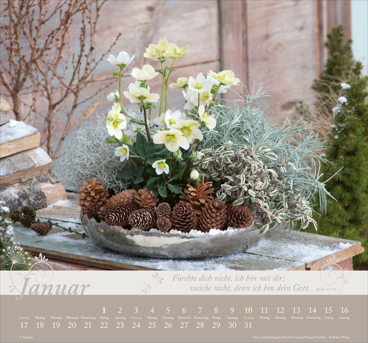 Im Garten zuhause 2027 – Wandkalender