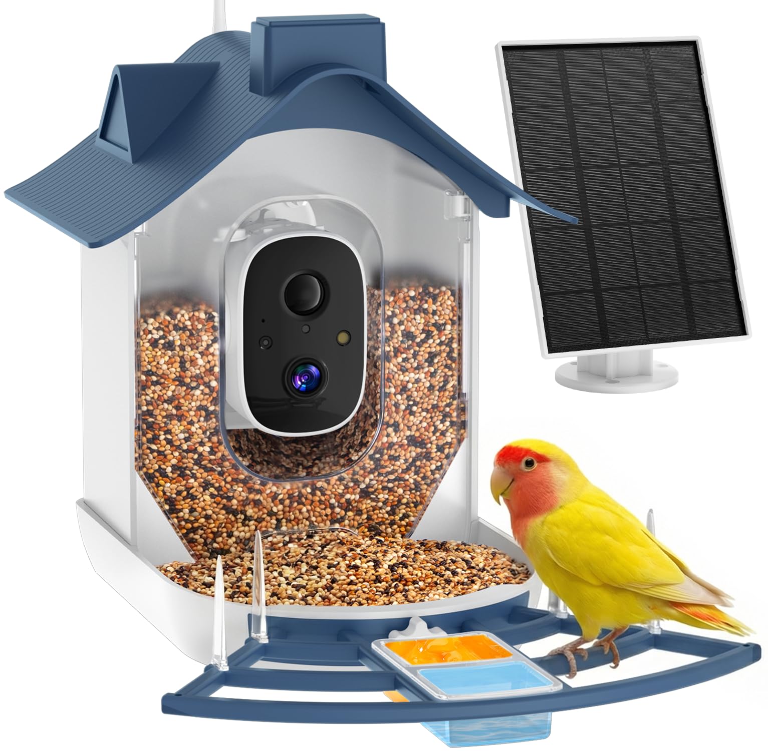 Amazon.com : Smart Bird Feeder with Camera, AI Bird Identification