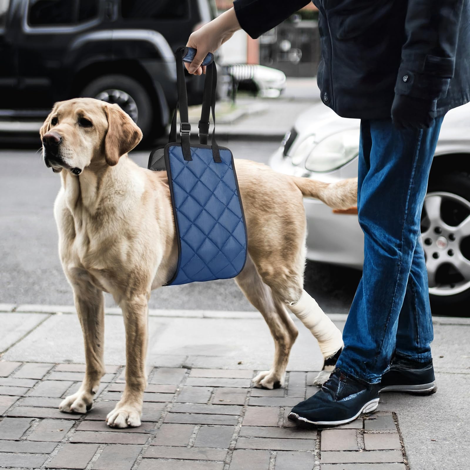 Arnés ajustable para perros extragrandes, soporte de pierna trasera, soporte de elevación suave portátil y arnés de rehabilitación para patas traseras débiles, para perros mayores, lesionados,