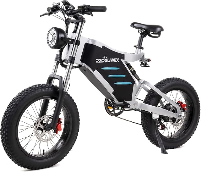 RZOGUWEX Electric Bicycle20 Inch Off-Road EBIKE for Adults with 48V 25AH Detachable Lithium Ion Battery, 7 Speed Snow Bike with Dual Shock Absorbers and Brush-less Motor