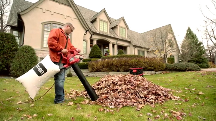 ウルトラレア盤 VACUUM NATURAL BORN THRASHERS ウルトラレア盤 VACUUM NATURAL BORN THRASHERS