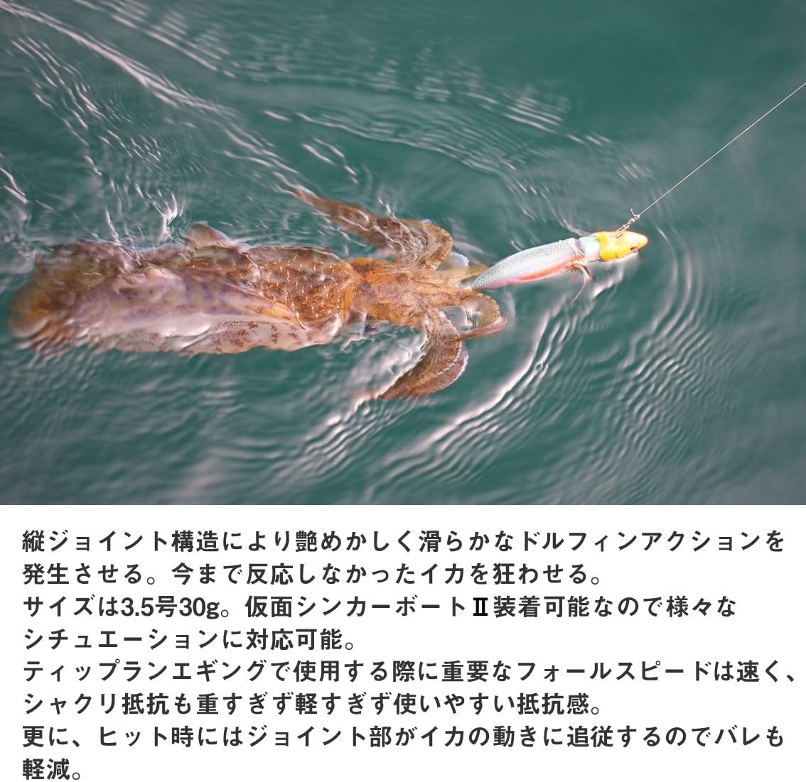 ダイワ(DAIWA) EM Boat Joint 3.5-30