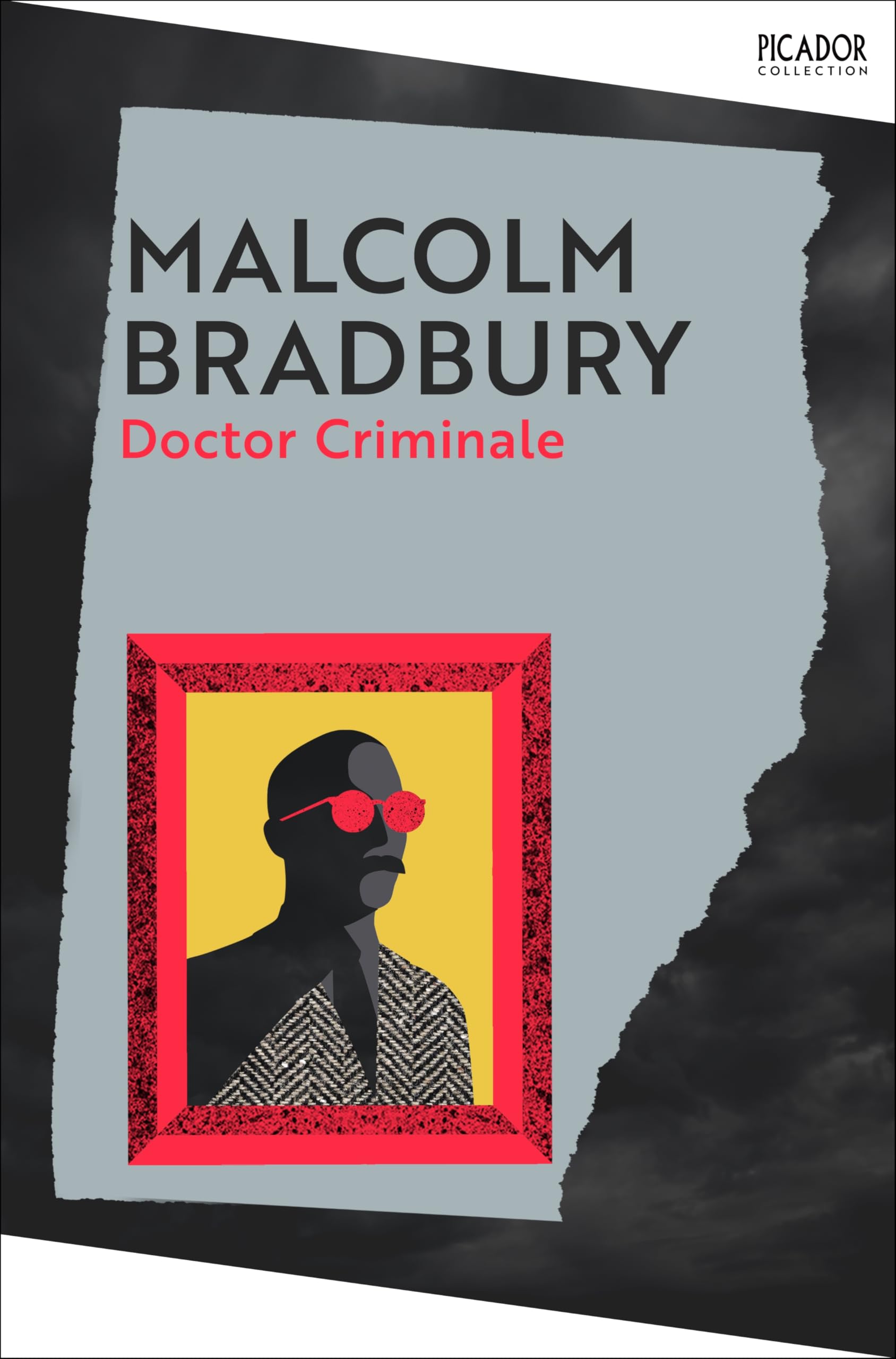 Doctor Criminale: A satire from the Booker Prize-shortlisted author of The History Man (Picador Collection)