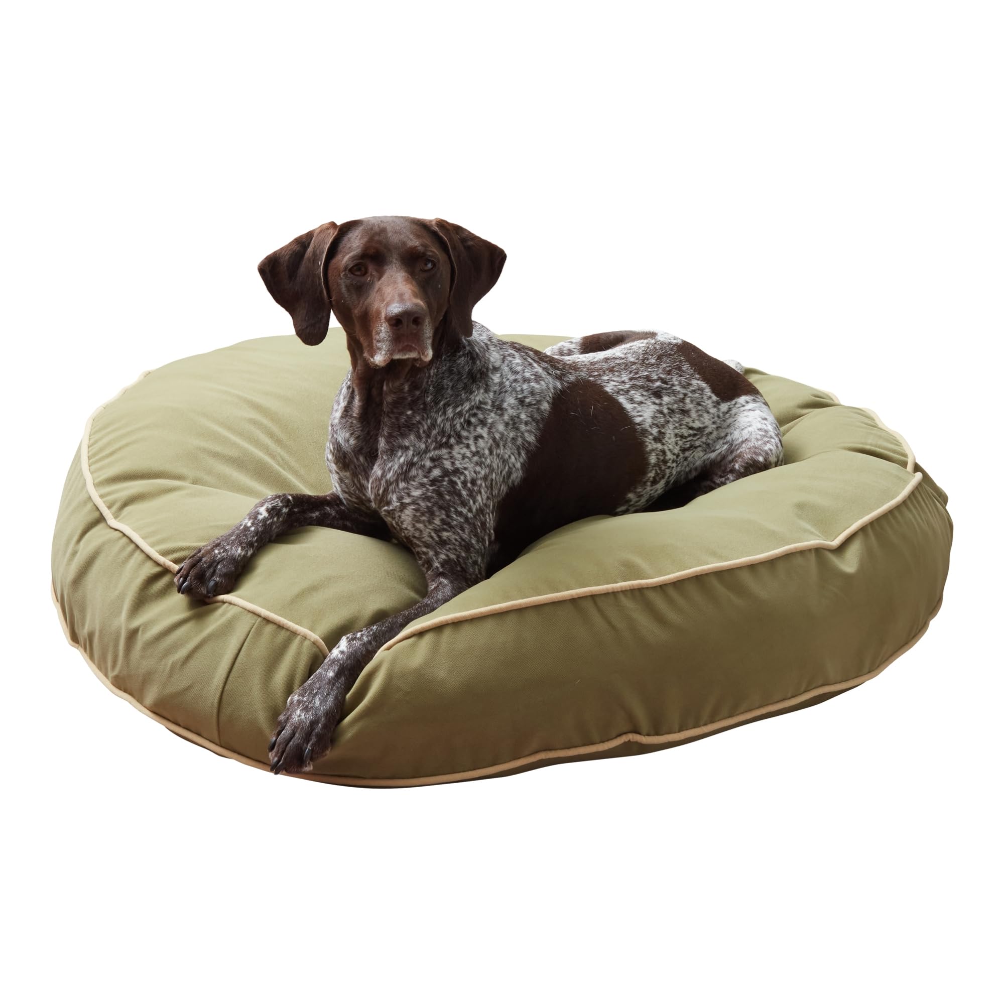 Happy Hounds Scout Round Reversible Pillow Dog Bed, Large (42" x 42"), Fern